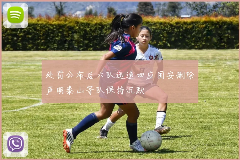 处罚公布后六队迅速回应国安删除声明泰山等队保持沉默