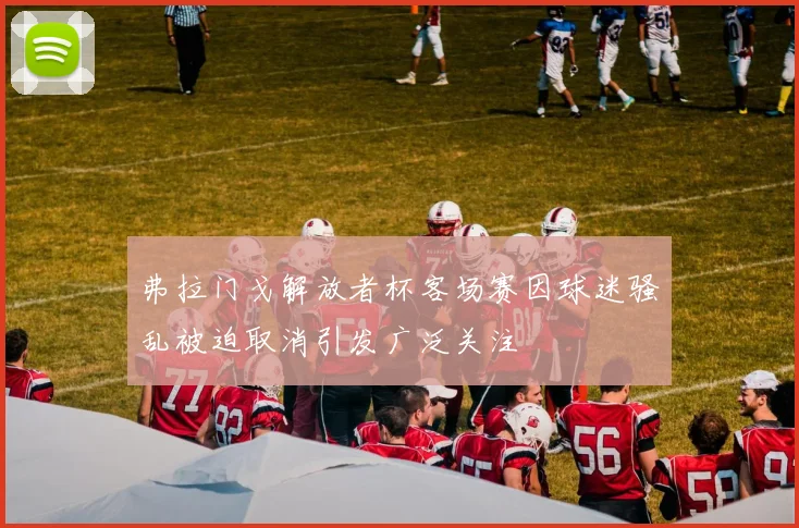 弗拉门戈解放者杯客场赛因球迷骚乱被迫取消引发广泛关注